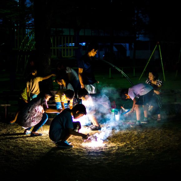 Summer Fireworks at the Park