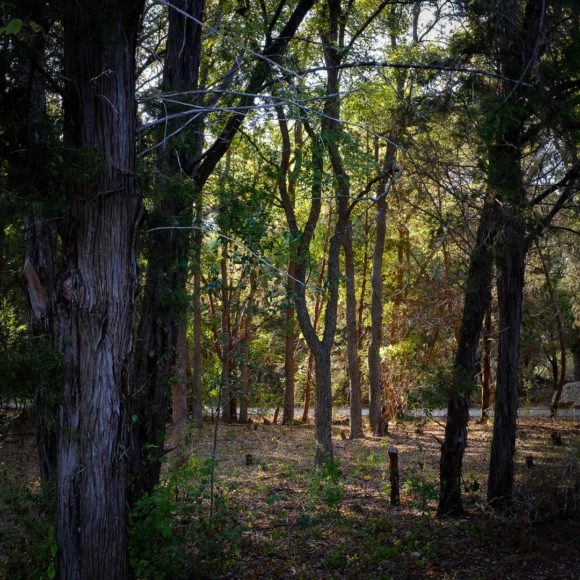 USA. Texas. Cedar Park. 2015