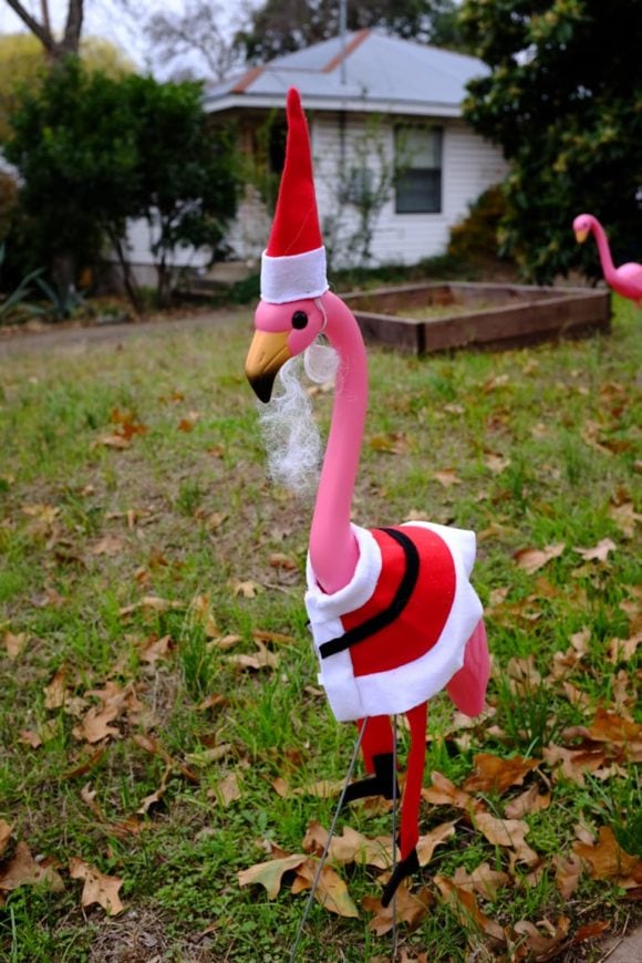 "Flamingo Santa" USA. Texas. Austin. 2015.