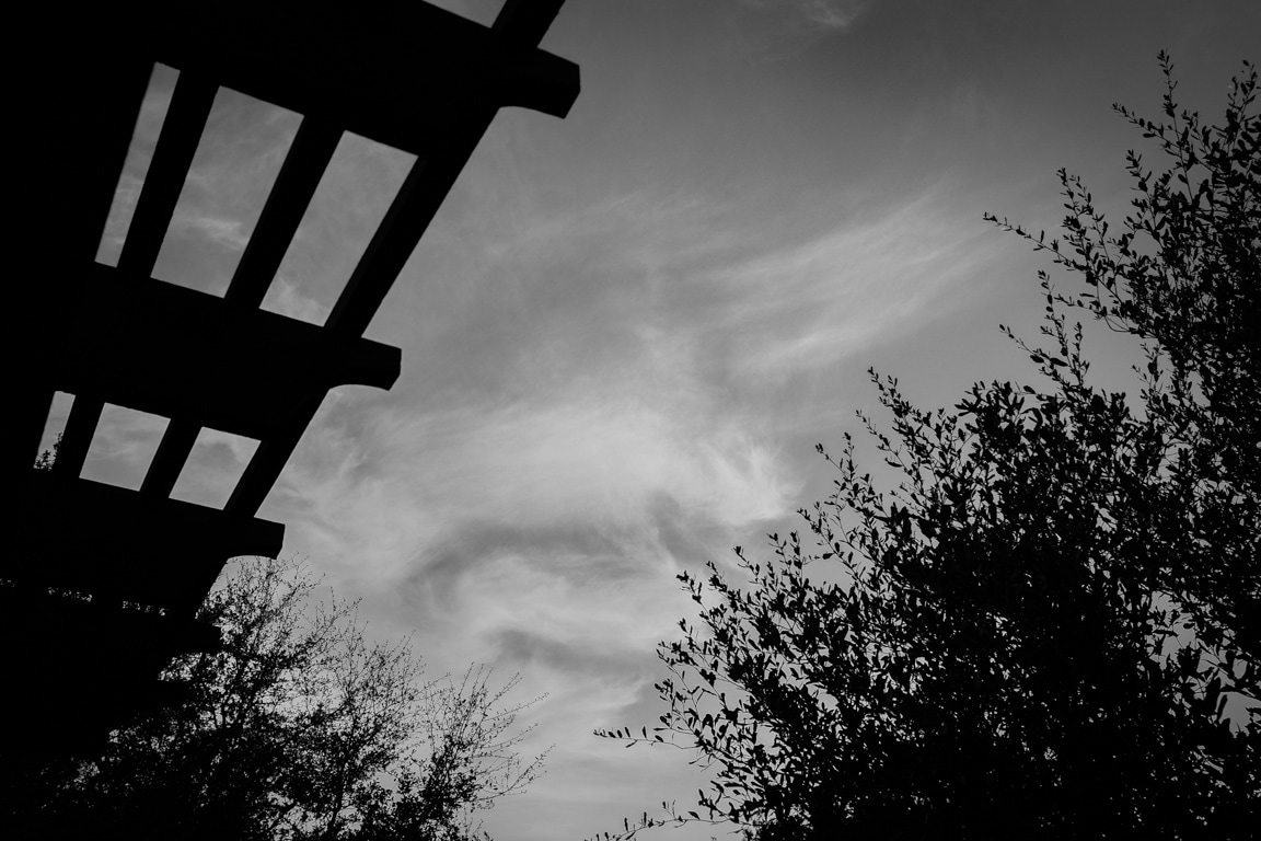 USA. Texas. Cedar Park. 2016.
