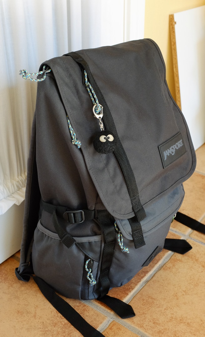 JanSport Hatchet Backpack Review | 10nineteen