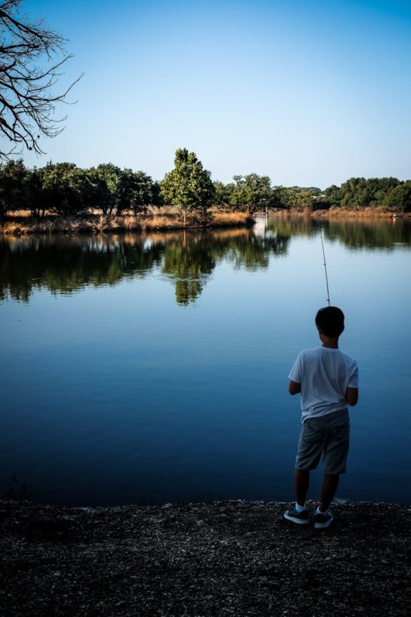 "Morning at the Lake" Cedar Park, 2016