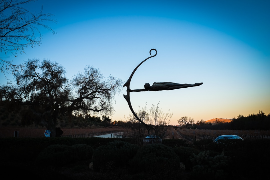 "Arrow" Paso Robles, 2017