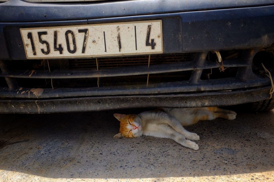 "Beating the Heat" Rabat, 2017