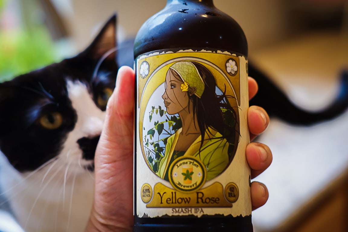 "Beer and Cat" Cedar Park, 2018