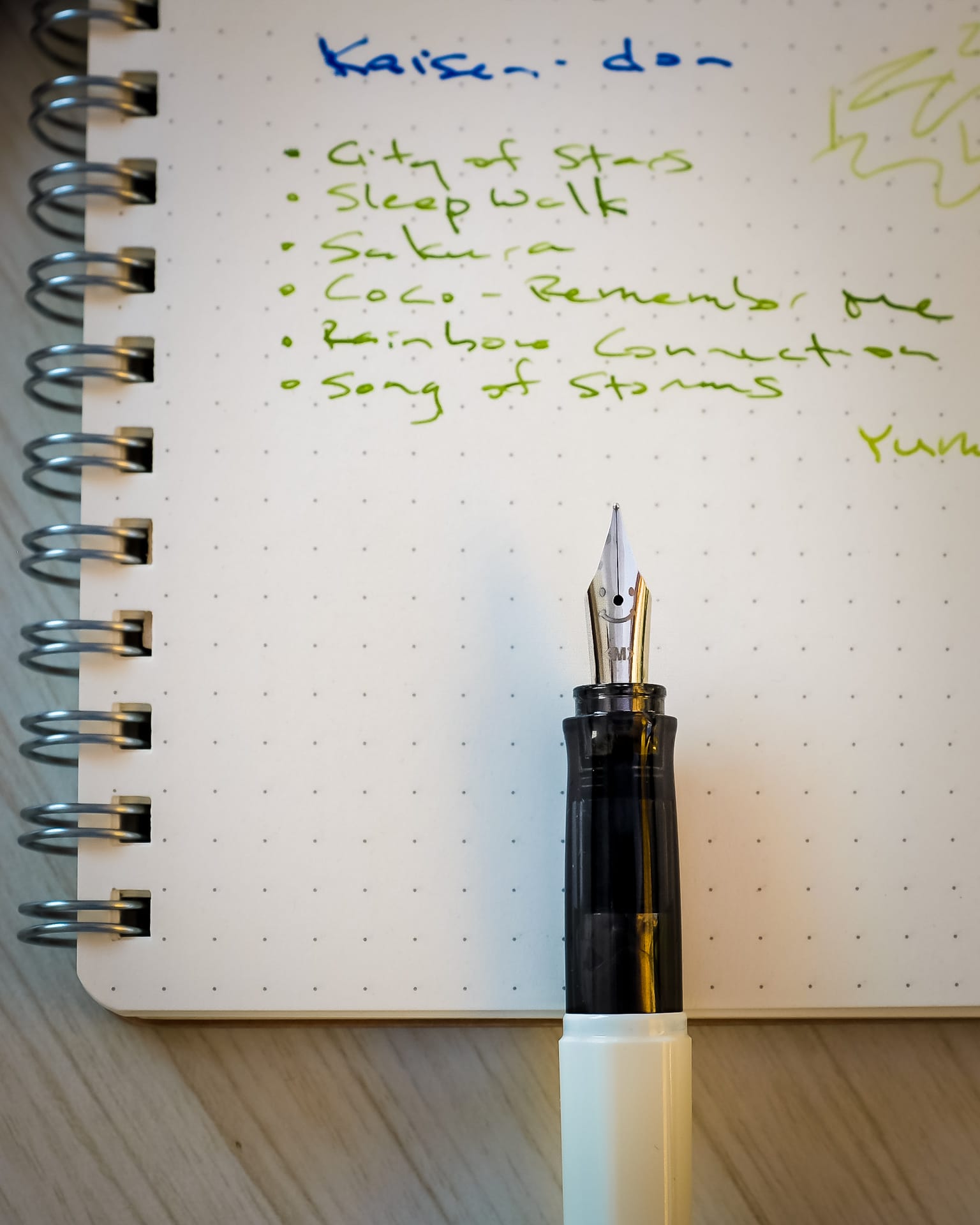 Fountain Pens In Use