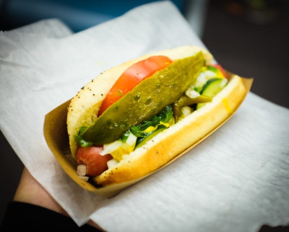 "Chicago Airport Dog" Chicago, 2017